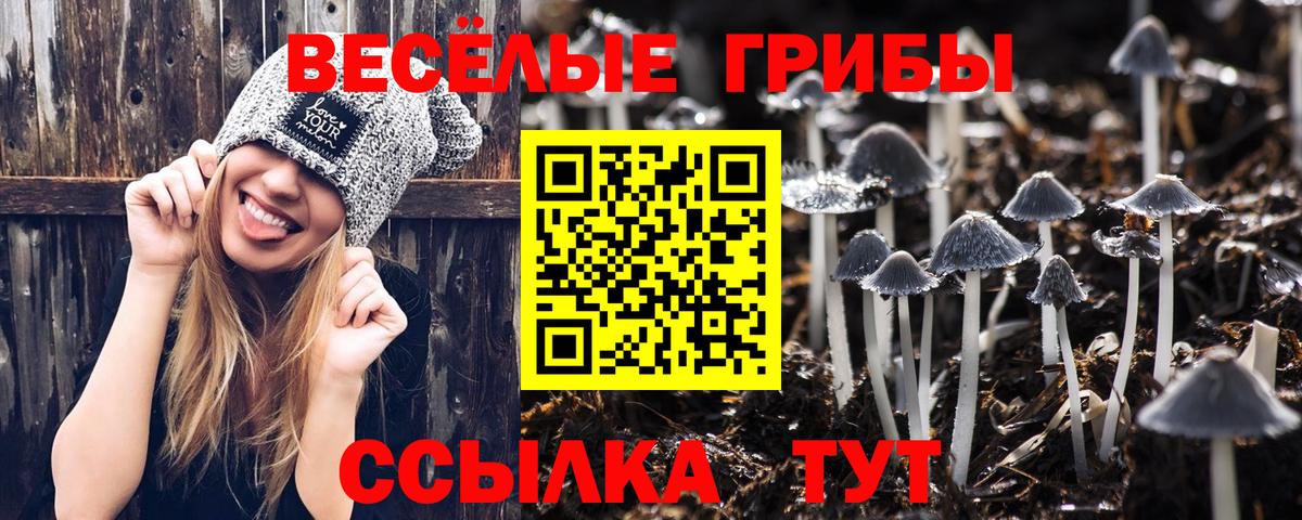 Зеленокумск  где продают наркотики  Вход с VPN  Псилоцибиновые грибы мухоморы  Псилоцибиновые грибы Cubensis 