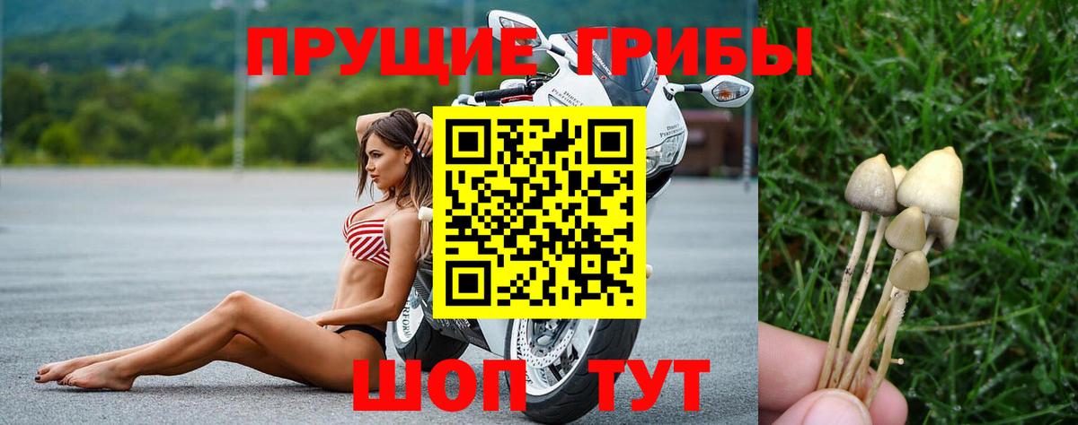 Галлюциногенные грибы прущие грибы Зеленокумск